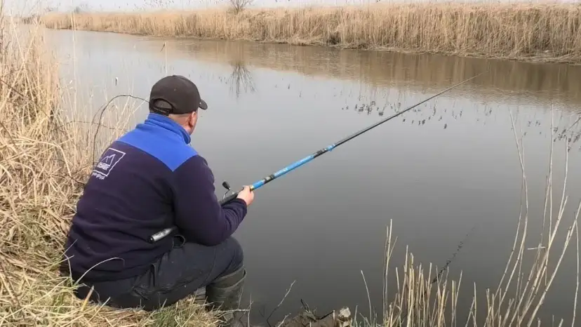 Wędki bolonki na jakie ryby: zaskakujące gatunki, które możesz złowić