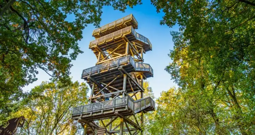 Dammer Berge A1: Lohnt sich der Stopp? Infos & Aussichtsturm