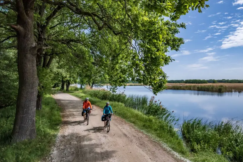 Dolina Baryczy: Trasy rowerowe dlaczego to rowerowy raj?