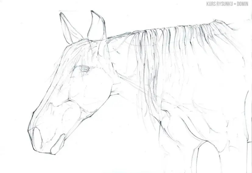 Realistyczny rysunek głowy konia? Odkryj sekrety krok po kroku!