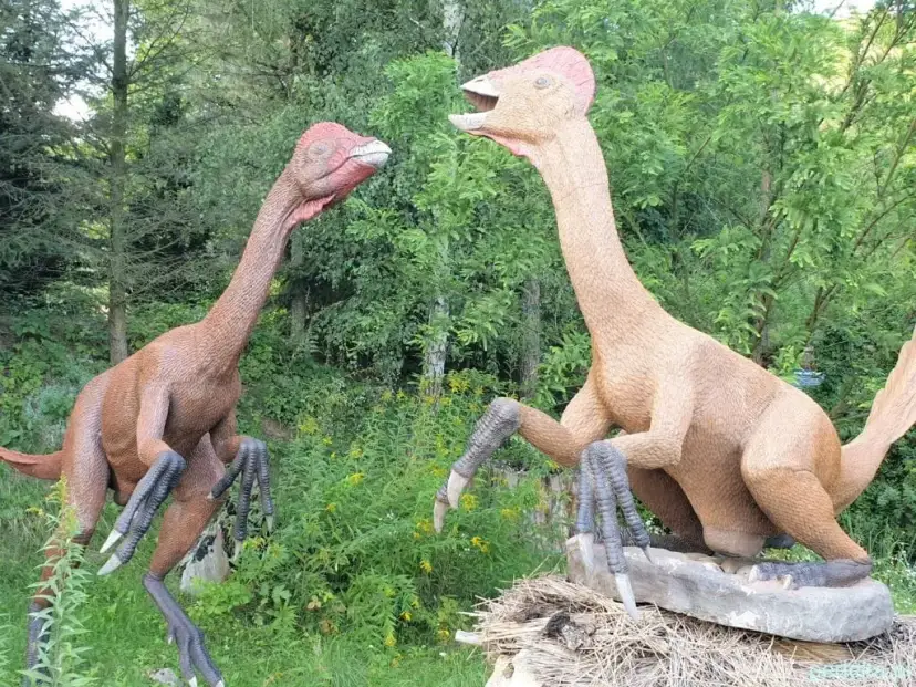 Świętokrzyskie atrakcje: Od Sandomierza po dinozaury co wybrać?