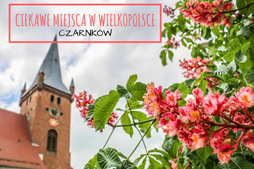 Czarnków atrakcje: Odkryj najlepsze miejsca na rodzinną wyprawę