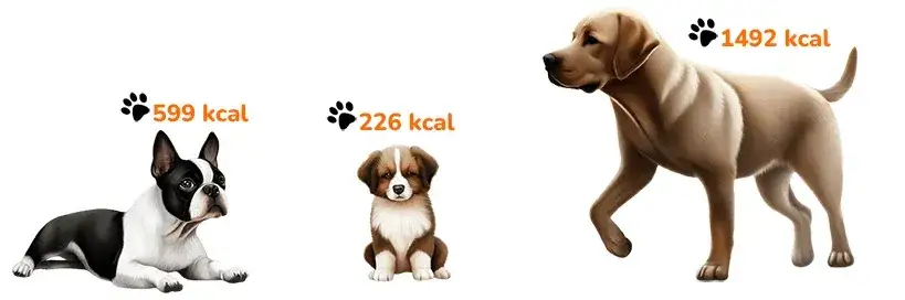 Ile karmy dla psa kalkulator – oblicz idealną dawkę dla swojego pupila