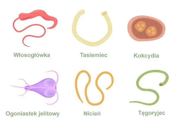 Pasożyty a objawy psychiczne: Jak rozpoznać niebezpieczne symptomy