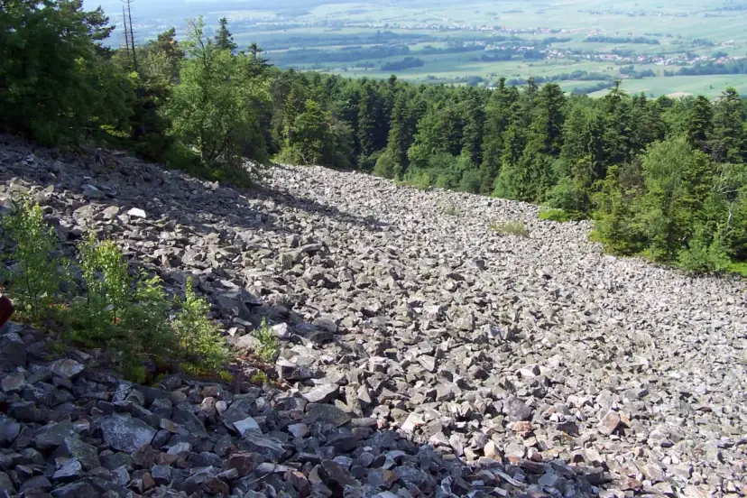 Kamieniste zbocze porośnięte drzewami, krajobraz przypominający ten z czasów, gdy panował co to klimat peryglacjalny.