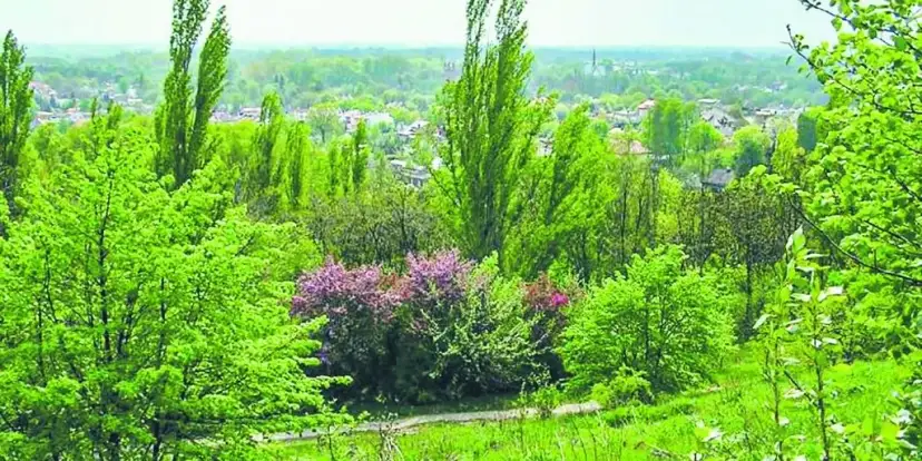 Bacówka Rudzka Góra – smaki tradycji w sercu Łodzi i aktywności na świeżym powietrzu