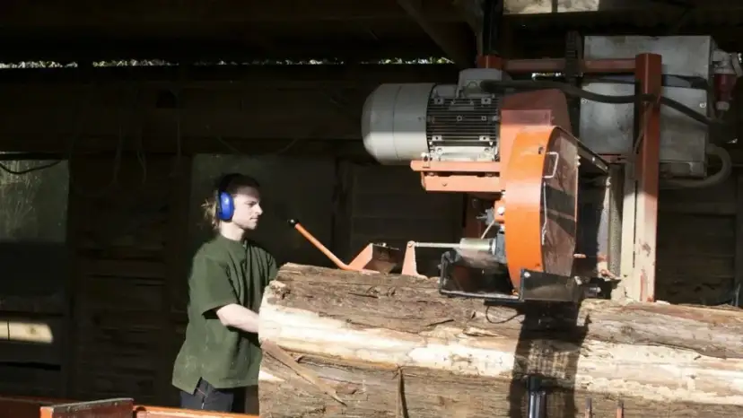 Ile można zarobić na tartaku? Kluczowe czynniki wpływające na dochody