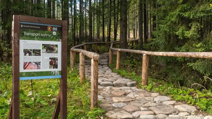 Jaki szlak wybrać w Tatrach – najlepsze trasy dla każdego turysty