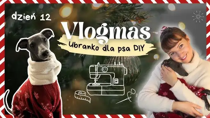 Jak zrobić ubranko dla psa z bluzy - proste kroki i porady