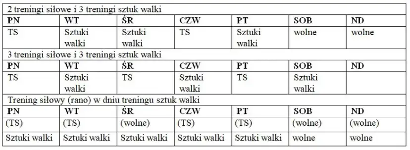 Jak cwiczyc MMA: skuteczne techniki i plany treningowe dla początkujących