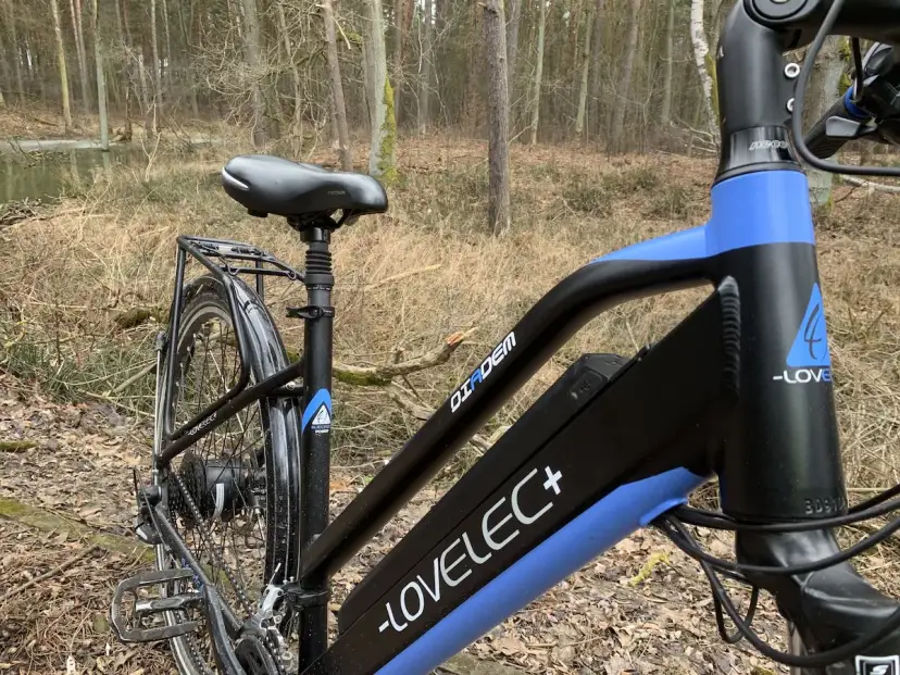 Rower elektryczny z rozładowaną do zera baterią litowo jonową, gotowy do ładowania po leśnej przejażdżce.