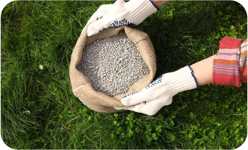 Najlepszy nawóz na zimę na trawnik, który ochroni twoją trawę