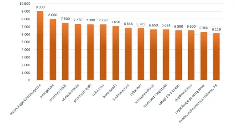 Płatny staż ile płacą? Sprawdź zarobki w różnych branżach w Polsce
