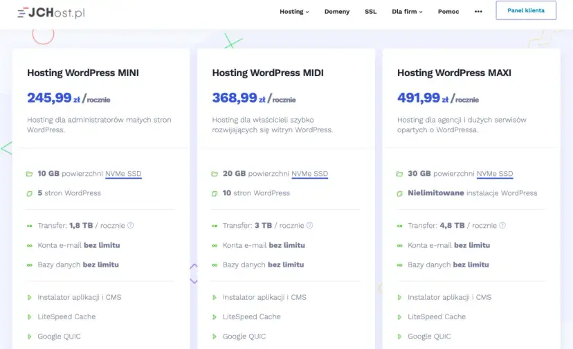 Koszty utrzymania strony WWW: Ile naprawdę zapłacisz rocznie?