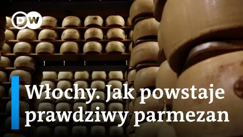 Jak powstaje Parmigiano Reggiano? Proces produkcji krok po kroku