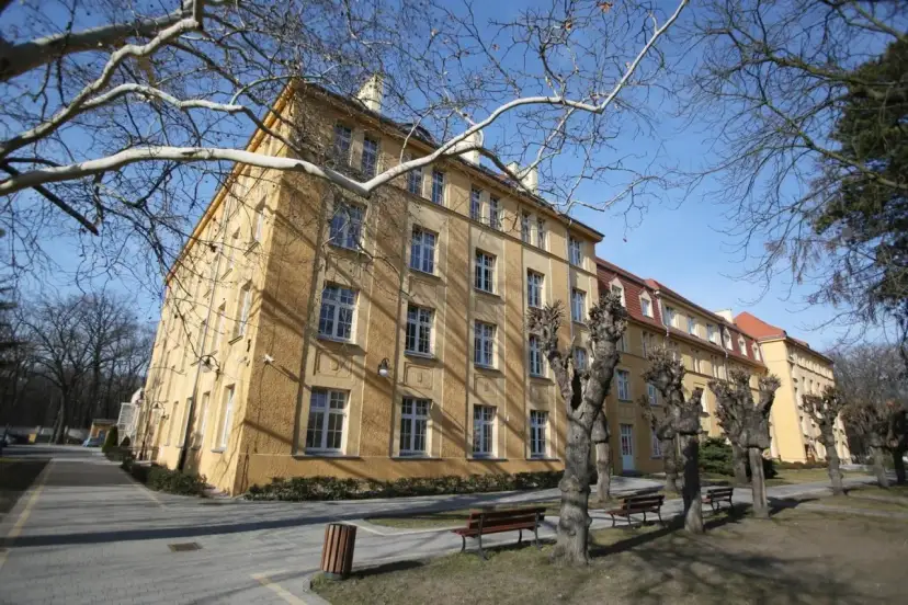 Szkoła dla niewidomych we Wrocławiu - kompleksowa edukacja i wsparcie