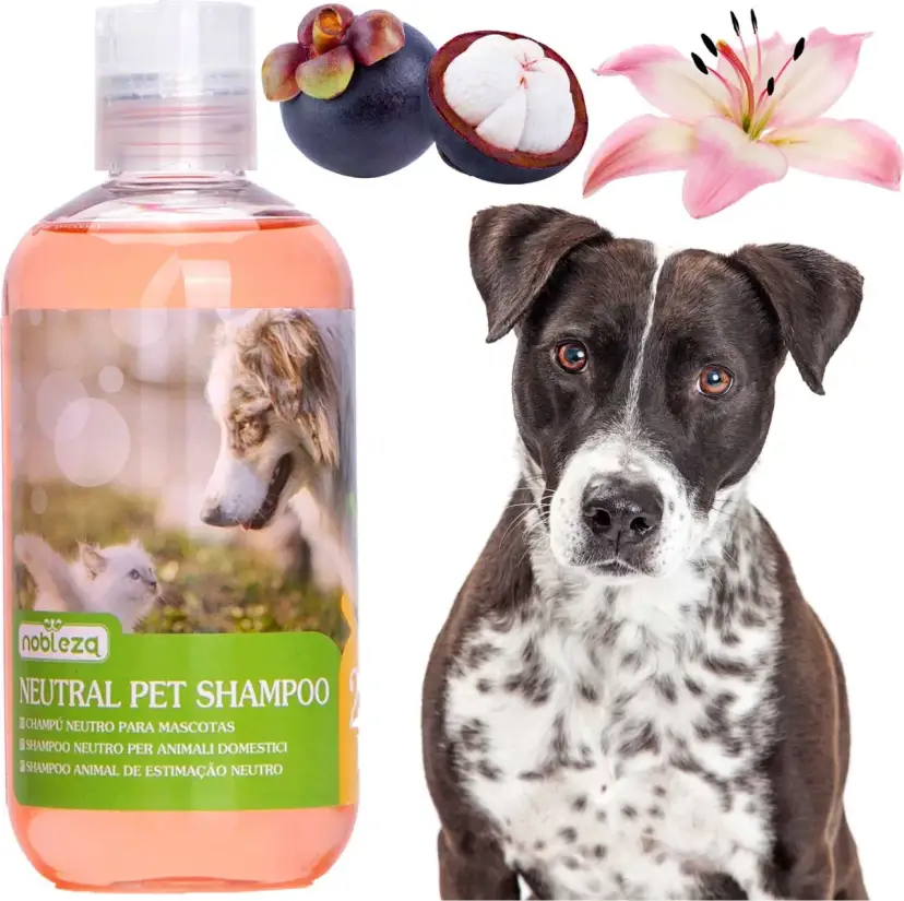 Gdzie kupić szampon dla psa? Wybierz mądrze dla zdrowia pupila