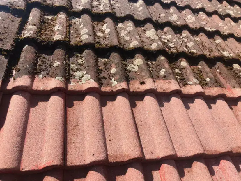 Skuteczne sposoby na to, czym umyć dachówkę ceramiczną bez uszkodzeń