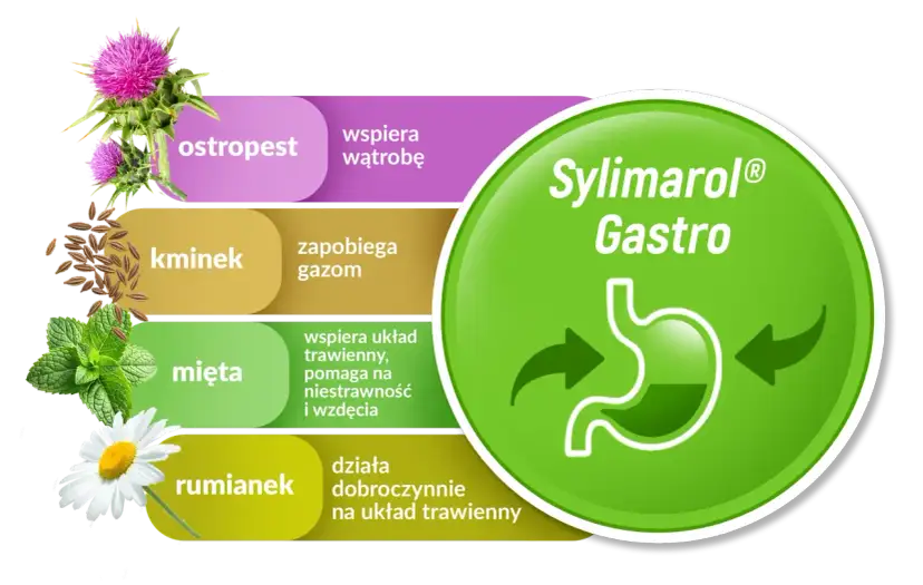 Sylimarol Gastro: ostropest wspiera wątrobę, kminek zapobiega gazom, mięta i rumianek działają dobroczynnie na układ trawienny.