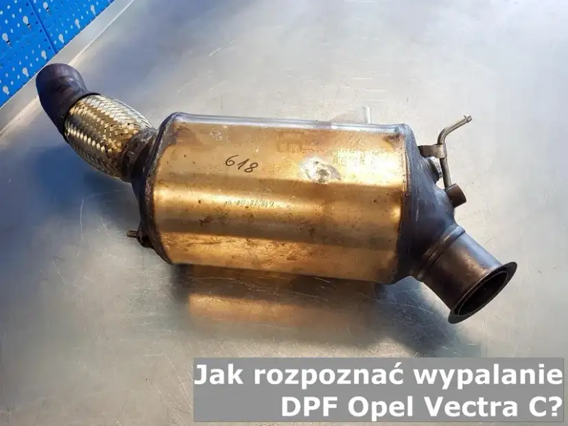Jak wymusić wypalanie DPF w Vectra C i uniknąć kosztownych napraw