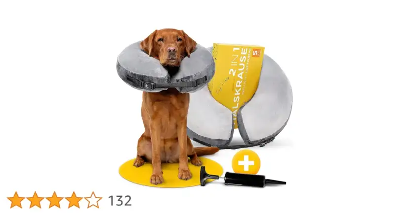 Co zamiast kołnierza dla psa? Alternatywy, które zapewnią komfort