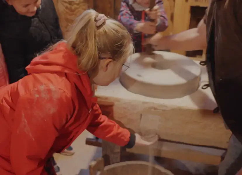 Zagroda edukacyjna: Jak założyć? Kompletny przewodnik i dotacje