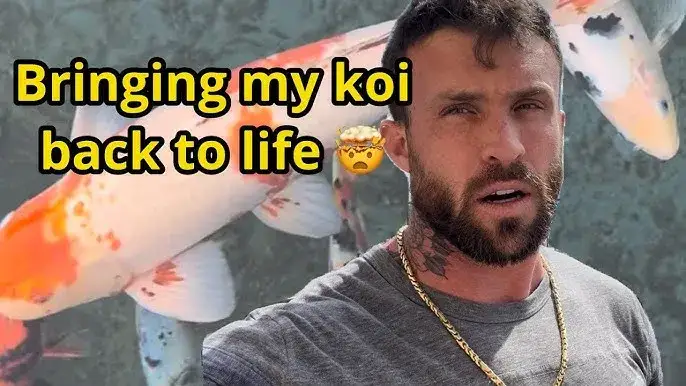 Jak pomóc zdychającej rybce - skuteczne sposoby na ratunek i ulgę