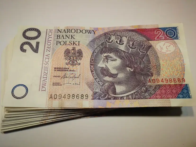 Stos dwudziestozłotowych banknotów z wizerunkiem króla. Szukasz banku, który nie sprawdza KRD?