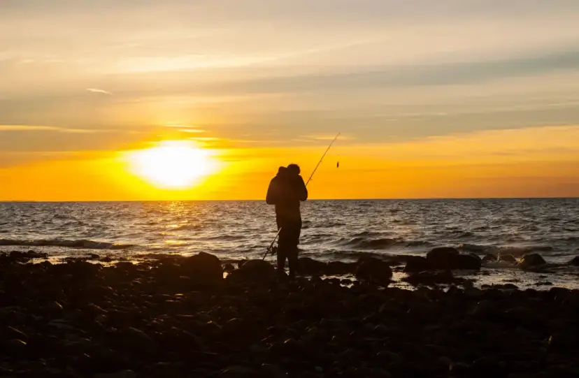 Kiedy łowić śledzie w Bałtyku? Odkryj najlepsze czasy i miejsca