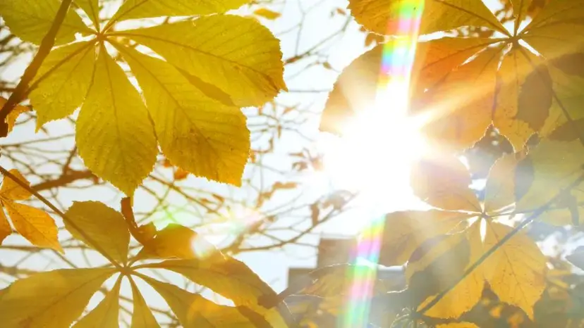 Vitamin D Sonne: So wichtig ist die richtige Sonnenexposition für Ihre Gesundheit