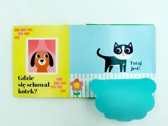 Gdzie się schował kotek? Odkryj tajemnice tej wyjątkowej książki dla dzieci