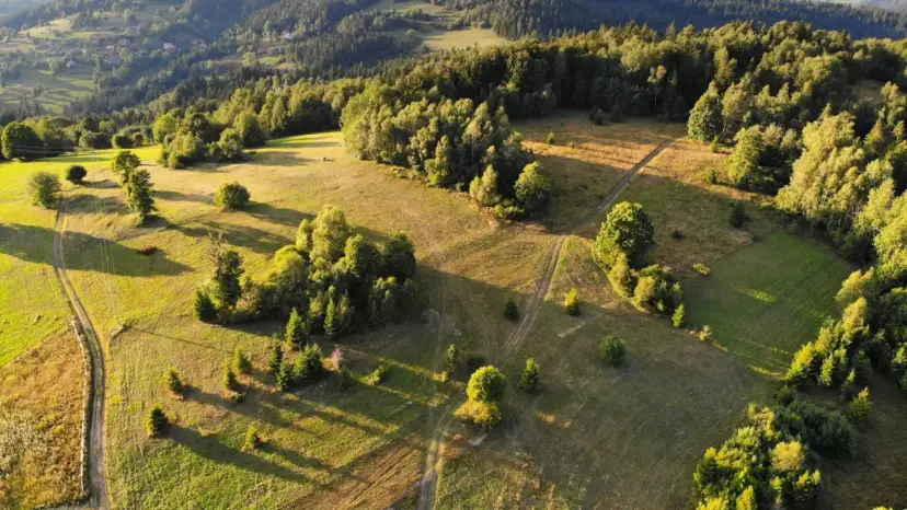 Malownicze wzgórza i lasy, idealne do odkrywania, co zwiedzić w Żywcu. Długie cienie i złote światło podkreślają piękno krajobrazu.