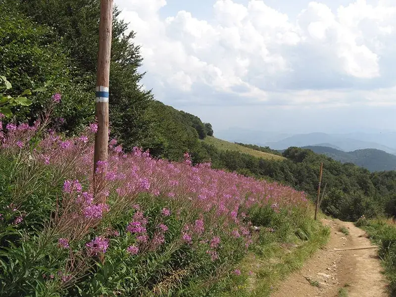 Jaki kolor szlaku jest najłatwiejszy dla początkujących turystów?