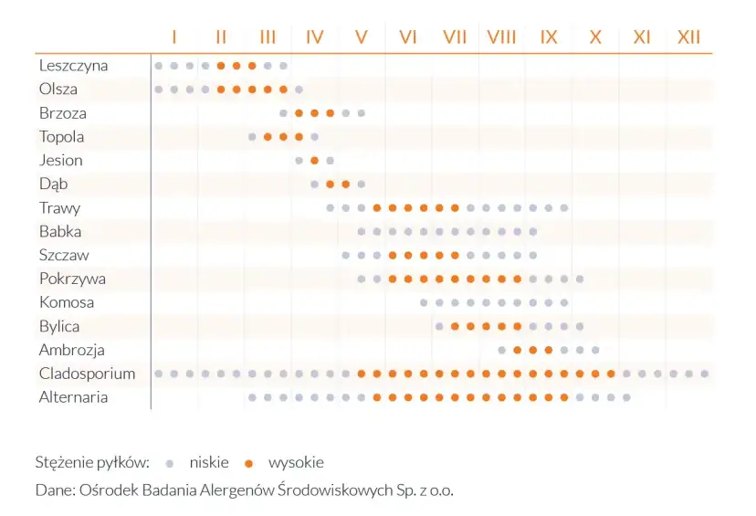 Kalendarz pylenia roślin: leszczyna, olsza, brzoza, topola, jesion, dąb, trawy, babka, szczaw, pokrzywa, komosa, bylica, ambrozja, Cladosporium, Alternaria. Sprawdź, co teraz pyli.