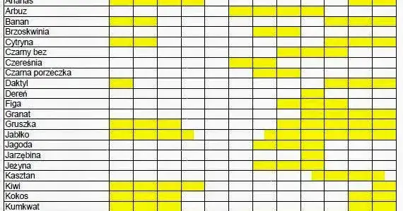 Kiedy jest sezon na kokosy? Odkryj, kiedy są najświeższe i najlepsze