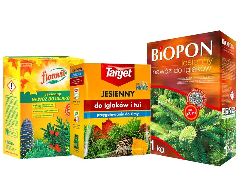 Nawóz jesienny od kiedy? Oto kluczowe terminy dla zdrowych roślin