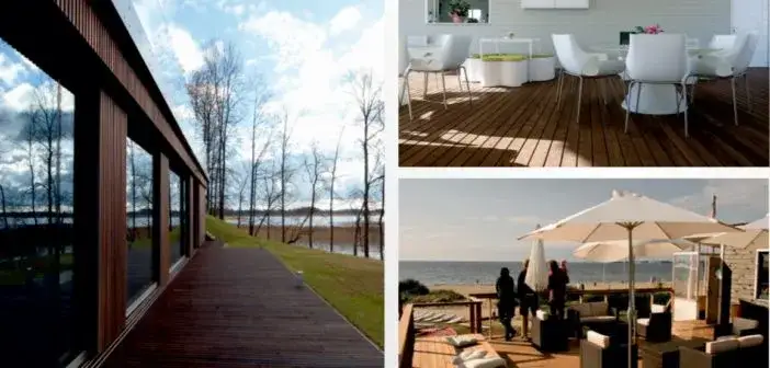 Modrzew czy sosna na taras - wybierz najlepsze drewno dla siebie