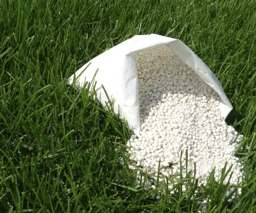 Kiedy siać nawóz na trawnik wiosną? Poradnik Neli Szymczak