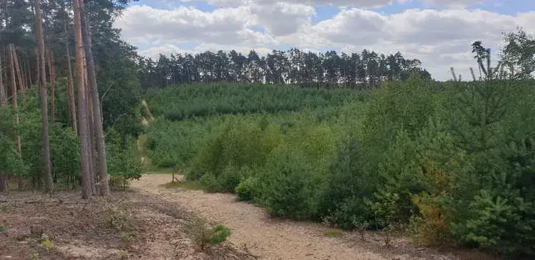 Trasy rowerowe Grudziądz: odkryj najlepsze szlaki i ich trudności