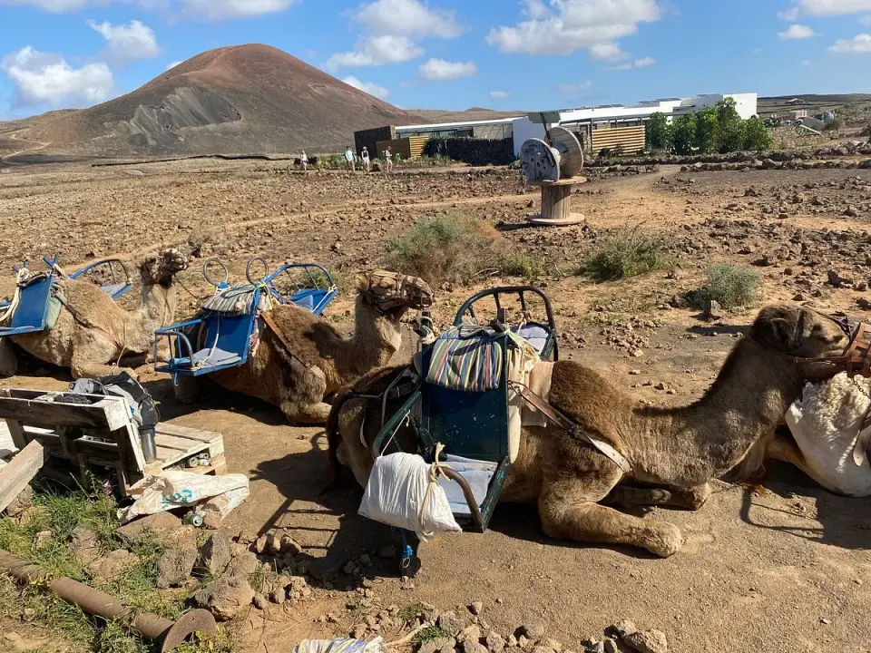 Qué ver en Lajares, Fuerteventura y por qué merece la pena
