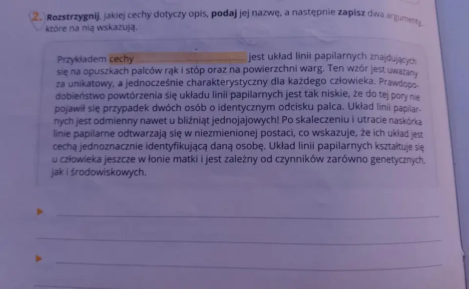 Przypis przed czy po kropce? Opanuj zasady raz na zawsze!