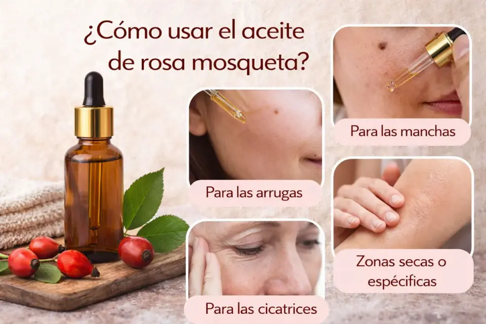 Rosa Mosqueta - Guía completa para una piel radiante