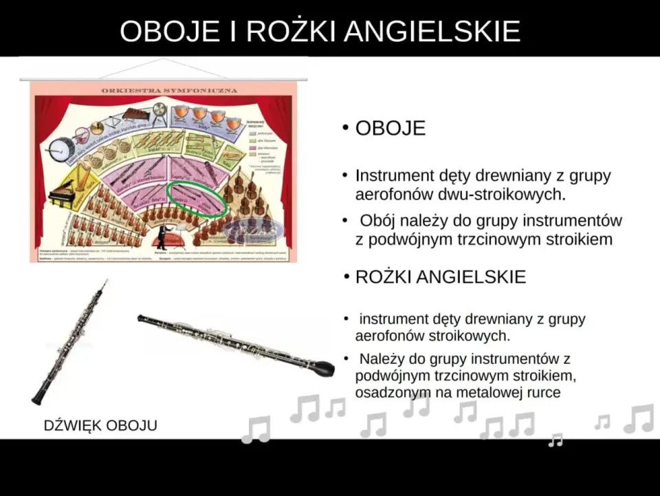 Instrumenty orkiestry symfonicznej - Jak działają i jak ich słuchać?