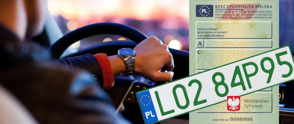 Zielone tablice rejestracyjne - kto je dostaje i co dają?