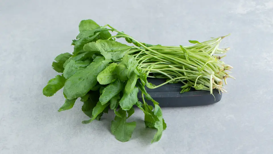 Berro - ¿Por qué esta hoja verde merece más atención?