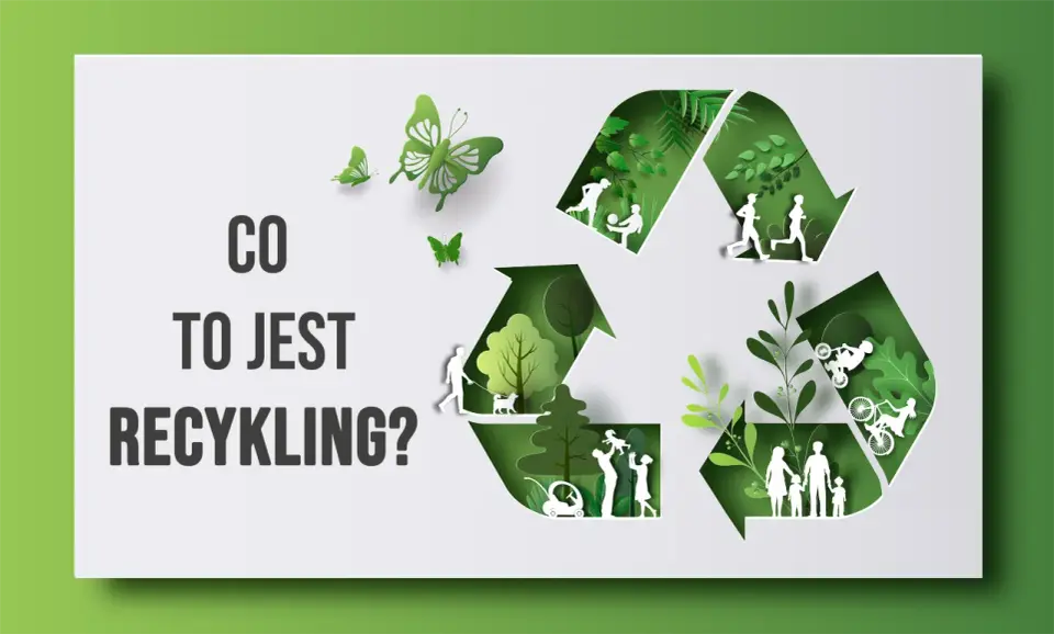 Recykling: Co to jest, jak działa i dlaczego warto? Przewodnik