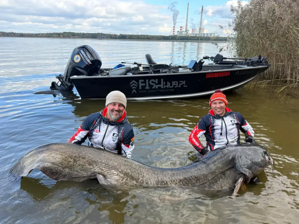 Rekord suma w Polsce - 292 cm. Sekrety łowienia gigantów