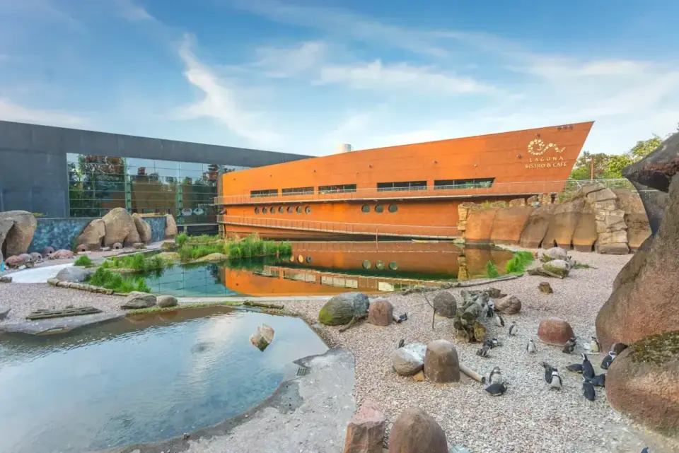 Afrykarium Wrocław - Cennik biletów. Jak nie przepłacić?