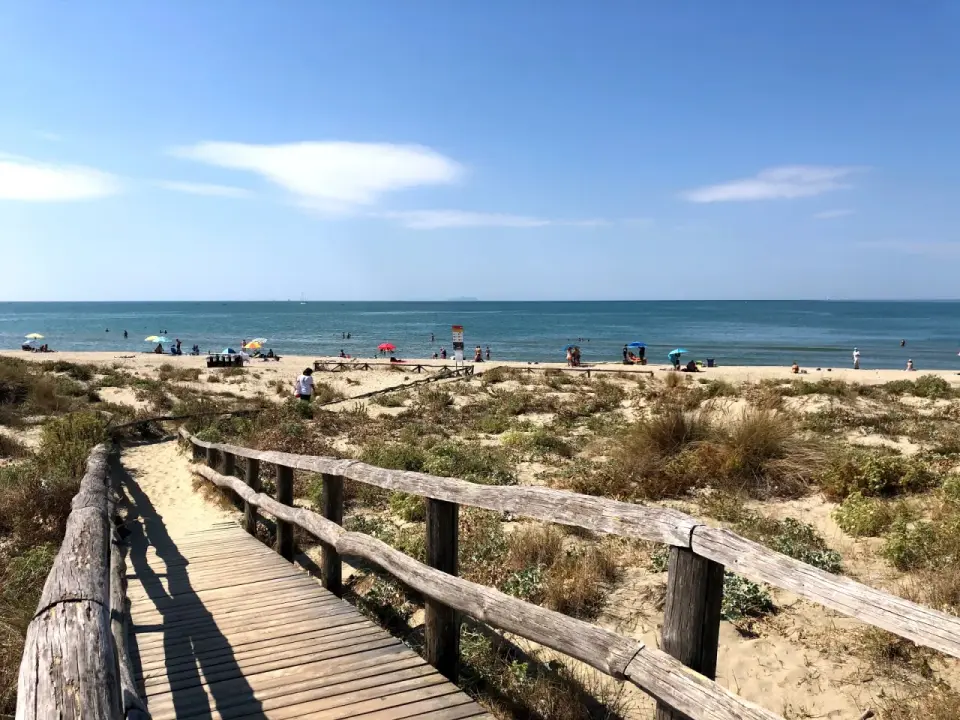 Mare a Tirrenia - Guida completa per la tua giornata perfetta