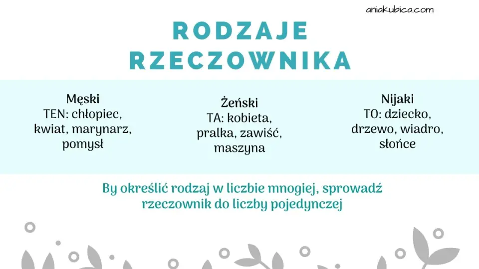 Rodzaje rzeczownika - Zrozum gramatykę bez chaosu!